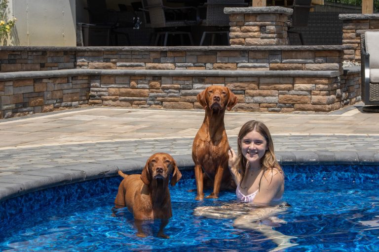 A girl in a pool with two brown dogs standing beside her in the water, near a stone patio.