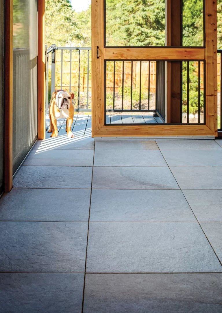 Bulldog standing on a porch, looking inside through an open wooden framed door on a tiled floor.