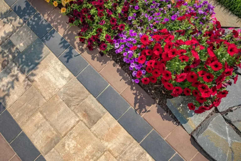 Colorful flowers border a paved garden path with stone edging, viewed from above on a sunny day.