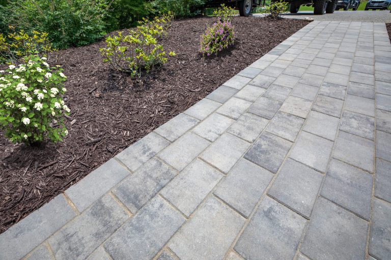 Gray stone paver walkway next to a mulched garden bed with small green and flowering shrubs.