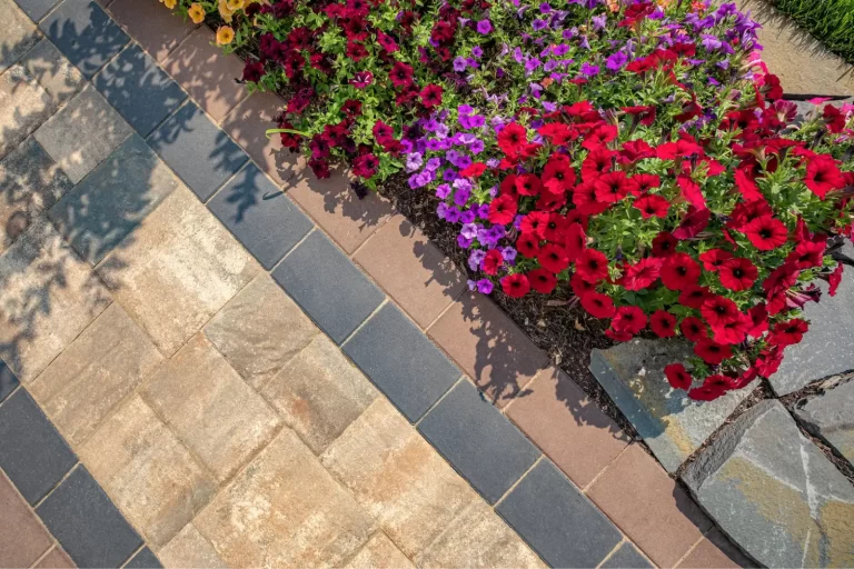 Colorful flowers border a brick walkway with stone edging in bright sunlight.