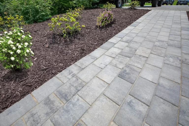 Gray stone paver walkway next to a mulched flower bed with small green and flowering plants.